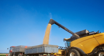 Balança comercial do agro de SP atinge superávit de US$ 1,73 bi em janeiro, alta de 20%