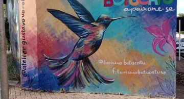 Artista botucatuense cria painel com ilustração de ave em viaduto da cidade