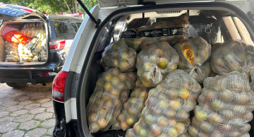 Polícia Civil recupera parte de carga de laranja furtada e faz doação para instituições em Botucatu