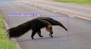 Sistema usa inteligência artificial para detectar animais na pista e evitar acidentes