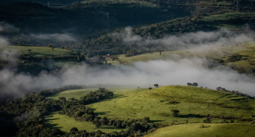 SP assina resolução para Restauração Ambiental em Unidades de Conservação