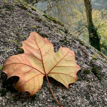 Transição para o outono: veja como deve ficar o clima em Botucatu no mês de março
