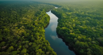 <strong>A Amazônia Brasileira: explorando a biodiversidade e os passeios ecológicos</strong>