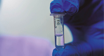 Veneno de aranha-armadeira apresenta bons resultados em tratamento de câncer de mama