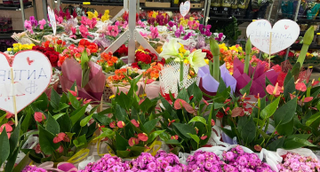 Botucatu Garden realiza neste fim de semana o Festival Dia das Mães, o melhor de toda a região