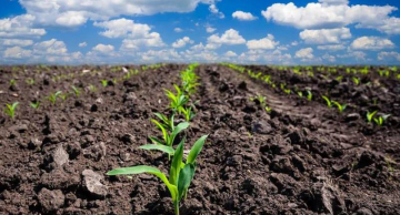 Conservação do solo e gestão financeira são temas de evento gratuito na Fazenda Lageado