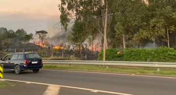 Botucatu registra focos de incêndio em áreas de mata perto de rodovias