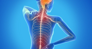 Degenerativa e autoimune, esclerose múltipla afeta sobretudo mulheres