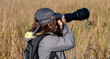 ‘Botucatu Cidade Observadora de Aves’ é finalista do prêmio Sebrae