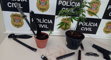 Ação policial apreende mudas de maconha e haxixe potencializado em Botucatu