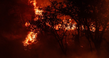 Grande incêndio atinge área dentro da Fazenda Lageado em Botucatu
