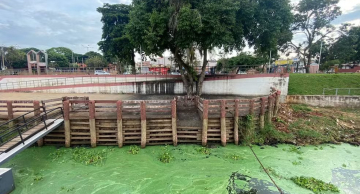 Crescimento de plantas aquáticas prejudica turismo no Rio Tietê em Barra Bonita
