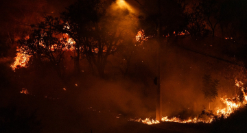 Câmara Federal aprova aumento de punição a quem provocar incêndios florestais no país Câmara Federal aprova aumento de punição a quem provocar incêndios florestais no país