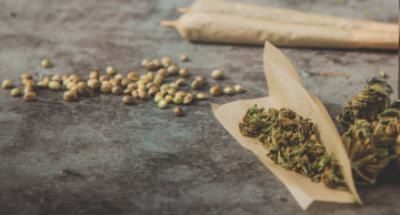 PEC das drogas será pauta da Câmara nesta semana