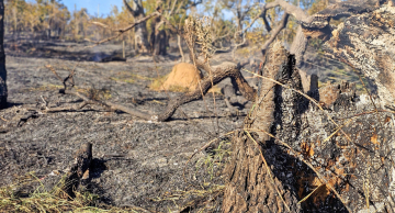 Botucatu vive ‘seca severa’ com estiagem, mostra levantamento