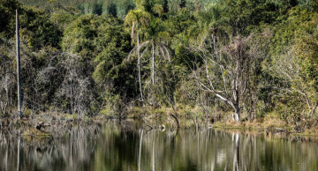 Botucatu estará na 1ª Conferência Intermunicipal do Meio Ambiente do Centro Oeste Paulista Botucatu estará na 1ª Conferência Intermunicipal do Meio Ambiente do Centro Oeste Paulista