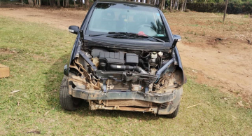 Mais um veículo fica com a frente destruída após choque com Javali na Castelinho em Botucatu Mais um veículo fica com a frente destruída após choque com Javali na Castelinho em Botucatu