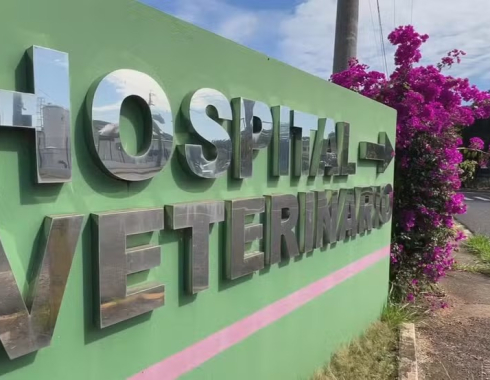 Hospital Veterinário da Unesp suspende atendimentos neste fim de semana em Botucatu
