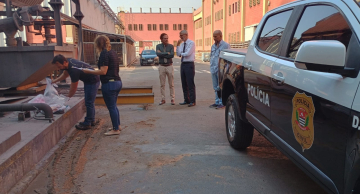 Polícia Civil de Botucatu incinera grande quantidade de droga em Botucatu Polícia Civil de Botucatu incinera grande quantidade de droga em Botucatu