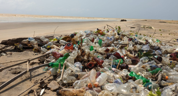 Estudo da Unesp em Botucatu: microplásticos é um perigo invisível para a vida na Terra