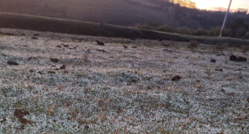 Botucatu tem geada ao amanhecer após madrugada de muito frio