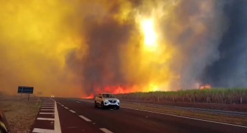 Botucatu entra em ‘Alerta Máximo III’ para risco de incêndios Botucatu entra em ‘Alerta Máximo III’ para risco de incêndios