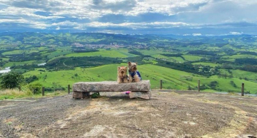 Lançado o Guia Pet Friendly com 60 municípios paulistas; Botucatu está na lista