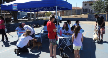 Vitoriana terá Ação de Saúde Pública Veterinária