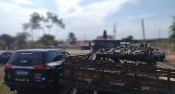 Suspeitos de furtarem trilhos de trem em Botucatu são identificados pela Polícia Civil Suspeitos de furtarem trilhos de trem em Botucatu são identificados pela Polícia Civil