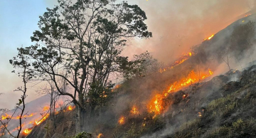 Defesa Civil de SP estende alerta de risco elevado para incêndios