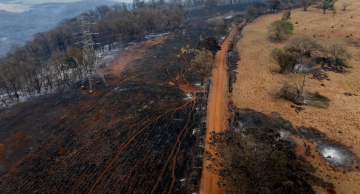 Estudo da Unesp de Botucatu avalia impactos de queimadas em fazenda na Cuesta Paulista
