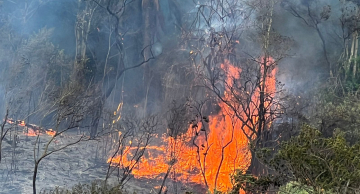 Homem é preso após enorme incêndio em Botucatu