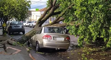Temporal assusta Avaré com ventos de mais de 100 Km/h
