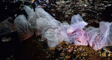 Polícia Ambiental apreende meia tonelada de filés de peixe impróprios para consumo em Botucatu