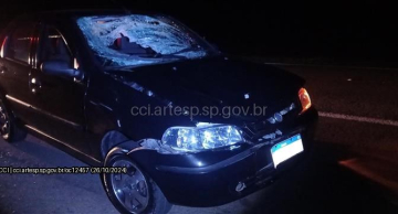 Andarilho morre atropelado na Rodovia Castello Branco em Bofete