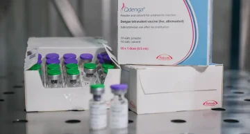 Fiocruz oficializa pedido para produzir vacina contra dengue no Brasil