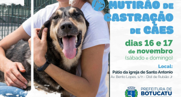<strong>Prefeitura realizará mutirão de castração gratuita para cães em Rubião Júnior</strong>