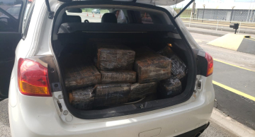 Homem é preso com quase 300 quilos de maconha na Castello Branco