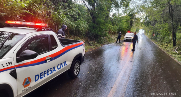 Árvore cai na Alcides Soares em Botucatu após temporal