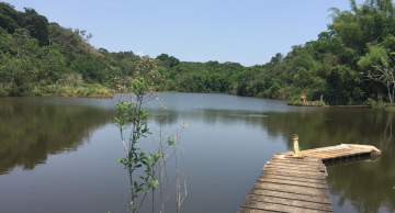 <strong><br>Escola do Meio Ambiente recebeu mais de 15 mil visitantes em 2024</strong>