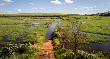 Inundação da Represa do Rio Pardo atinge estrada Demétria-Pardinho, que fica sem passagem