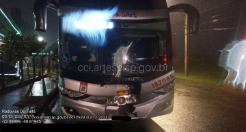 Ônibus atropela bovino na Marechal Rondon em Lençóis Paulista