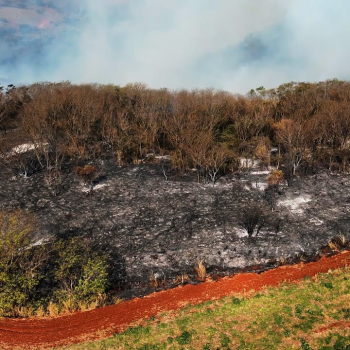 Botucatu lança série de orientações sobre saúde e prevenção de incêndios durante a estiagem