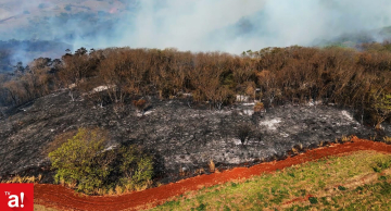Pesquisadores da Unesp lideram projeto de restauração em Botucatu após incêndios
