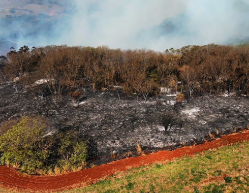 Botucatu lança série de orientações sobre saúde e prevenção de incêndios durante a estiagem