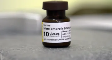 SP já tem mais mortes por febre amarela neste ano do que em todo 2024