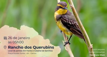 Primeira edição do ‘Vem Passarinhar Botucatu’ em 2025 será no dia 26