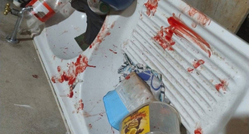 Animais mutilados ou que fugiram e crianças autistas sofrendo; fogos em Botucatu causaram transtornos