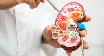 HCFMB e FMB Unesp celebram Dia Mundial do Rim com diversas ações