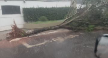 Chuva de granizo atinge Botucatu e assusta moradores Chuva de granizo atinge Botucatu e assusta moradores